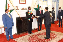 Zimbabue desea desarrollar relaciones con Vietnam en diversos sectores