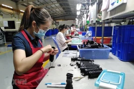 Ciudad Ho Chi Minh trabaja por desarrollar el ecosistema de startups e innovación