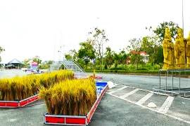 Celebran quinto Festival de Arroz de Vietnam