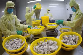 Exportaciones vietnamitas de productos acuáticos crecen 25 por ciento en marzo