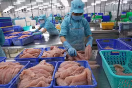 Exportaciones acuáticas vietnamitas en segundo trimestre suben 36 por ciento 