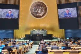 Vietnam destaca solidaridad y cooperación internacional como clave para garantizar finanzas para el desarrollo 