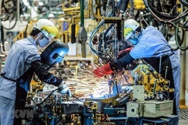 Califican de positivas las perspectivas económicas de Vietnam