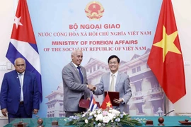 Cancillerías de Vietnam y Cuba efectúan VII reunión de consultas políticas 