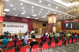 Moody's mejora calificaciones para banco vietnamita de Agribank
