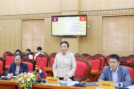 Delegación parlamentaria de Laos visita provincia vietnamita 