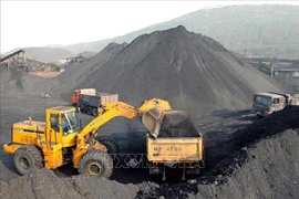 Vietnam adquiere experiencias checas sobre tecnología de exploración de minerales