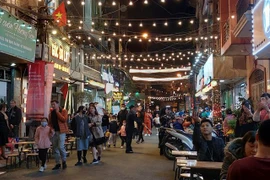 Hanoi inaugura calle peatonal de comida nocturna Dao Ngoc Ngu Xa 