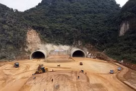 Primer ministro instó a agilizar recuperación y desarrollo socioeconómico en Vietnam