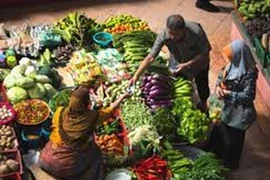 PNUD e Indonesia se asocian para promover desarrollo sostenible en sector privado