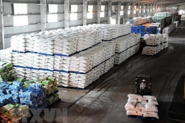 Ca Mau apunta a 1,3 mil millones de dólares de exportaciones en 2023