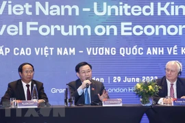 Periódicos italianos aprecian esfuerzos de Vietnam en garantía de derechos humanos