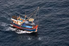 Localidades vietnamitas unen esfuerzos en lucha contra pesca ilegal 