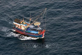 Localidades vietnamitas unen esfuerzos en lucha contra pesca ilegal 