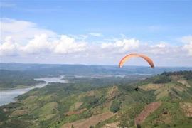 Nutrida participación en torneo de parapente en provincia vietnamita