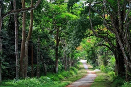 Francia apoya a Vietnam en preservar sus patrimonios naturales y culturales 