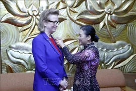 Entregan medalla conmemorativa de amistad a representante de PNUD en Vietnam