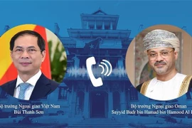 Vietnam consolida nexos con Omán y Emiratos Árabes Unidos