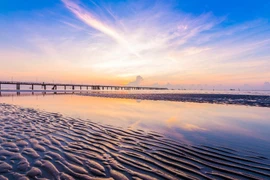 Provincia vietnamita de Tien Giang despierta potencial del ecoturismo marítimo 