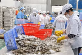 Exportaciones acuícolas de Vietnam apuntan a 11 mil millones de dólares en 2022