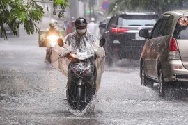 Sufrirá Vietnam cinco tormentas hasta principios de 2023
