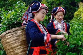 Promueven empoderamiento económico de mujeres de minorías étnicas en Vietnam
