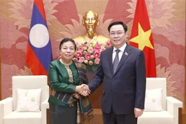 Abogan por consolidar gran amistad y cooperación integral entre Vietnam y Laos