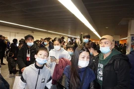 Crean un corredor seguro para la evacuación de los vietnamitas de Ucrania