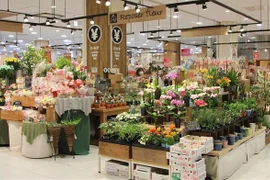 Flores de Vietnam son preferidas de consumidores japoneses 