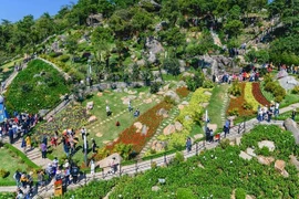 Vietnam atiende a más de 5,5 millones de turistas durante el Tet