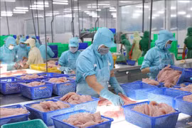 Anuncian lista de 281 empresas de exportación prestigiosas en Vietnam