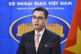 Vietnam contribuye a mejorar el papel de la ONU 