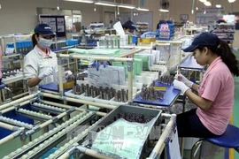 Vietnam atrae más de 25 mil millones de dólares de IED en 11 meses