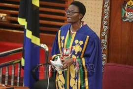 Presidente del Parlamento vietnamita felicita a la nueva titular de Asamblea Nacional de Tanzania