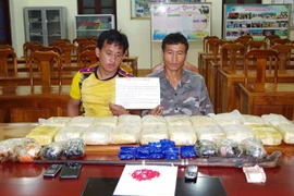 Dos redes transnacionales de narcotraficantes desmanteladas en provincia vietnamita