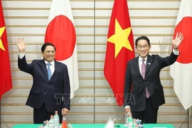 Japón y Vietnam disponen de gran potencial para cooperación 