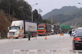 Emiten resolución sobre desarrollo económico en zonas fronterizas terrestres en Vietnam