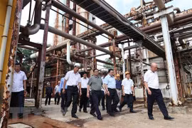 Premier vietnamita exige mejorar función de fábrica de fertilizantes Ha Bac