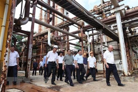 Premier vietnamita exige mejorar función de fábrica de fertilizantes Ha Bac