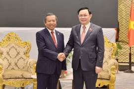 Diplomacia entre pueblos juega importante papel en relaciones Vietnam-Laos