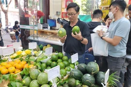 Inauguran una serie de puntos de venta de productos OCOP en Hanoi