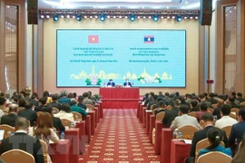 Empresas vietnamitas y laosianas trabajan para acelerar proyectos de cooperación estratégica