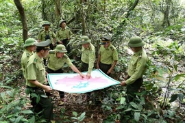 Estados Unidos respalda programa de capacitación a guardabosques vietnamitas