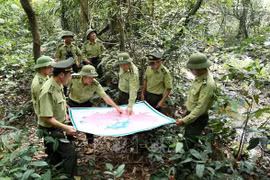 Estados Unidos respalda programa de capacitación a guardabosques vietnamitas
