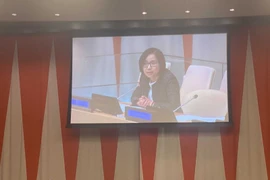Vietnam reitera apoyo al llamado de cese al fuego de secretario general de ONU