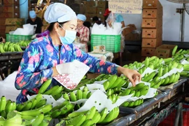 Vietnam y China negocian requisitos fitosanitarios para exportación de frutas