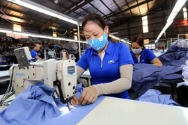 Vietnam busca implementar con eficiencia acuerdo regional RCEP