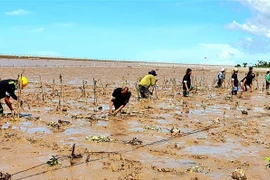 Austria respalda a provincia vietnamita en fomento de resiliencia climática