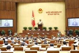 Votarán resolución sobre programa de supervisión del Parlamento vietnamita en 2023