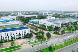 Exigen revisar grandes proyectos de IED en Vietnam